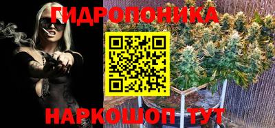 соль ск Кулебаки