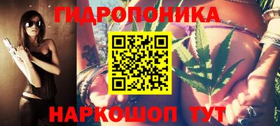 шишки Ликино-Дулёво