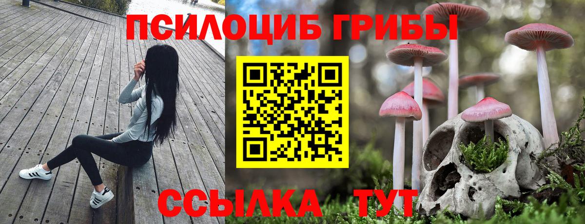 Псилоцибиновые грибы Cubensis  Вход с VPN  Великий Новгород 